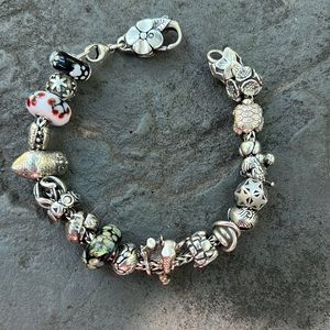 Trollbeads bracelet and charms ✨